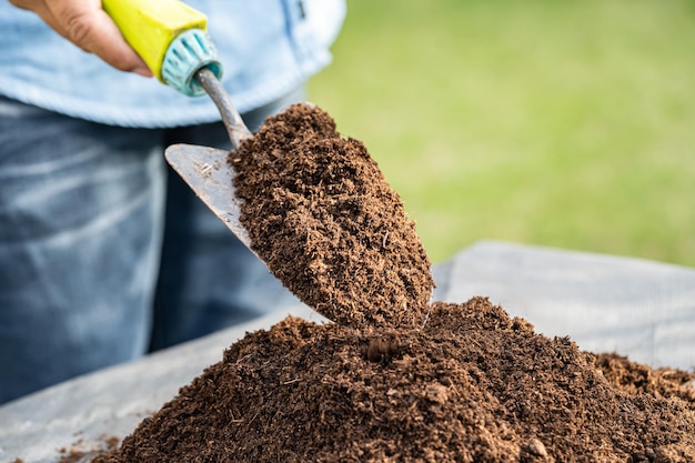 Mulher jardineira segurando matéria orgânica de musgo de turfa melhora o solo para a agricultura conceito de ecologia de crescimento de plantas orgânicas