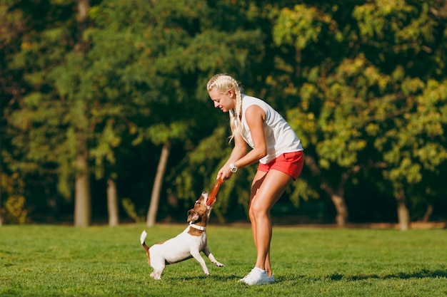 Mulher jogando o disco voador laranja para o pequeno cachorro engraçado, que pegá-lo na grama verde. Pequeno animal de estimação Jack Russel Terrier brincando ao ar livre no parque. Cão e dono ao ar livre. Animal em fundo de movimento.