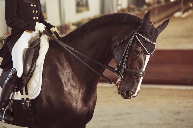 Mulher jóquei com seu cavalo