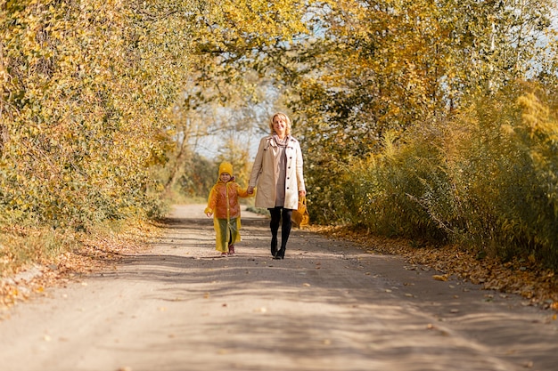 Mulher jovem caminha ao longo da estrada com sua filha entre árvores amarelas no outono, de mãos dadas em um dia ensolarado, folhas amarelas