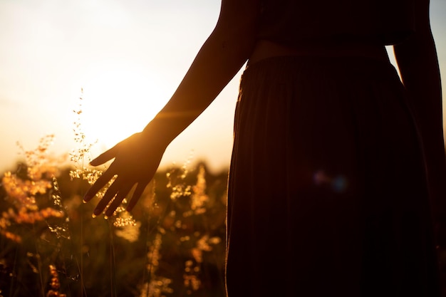 Foto mulher jovem caminhando no campo de primavera ao pôr-do-sol entre a grama fresca e tocando flores amarelas