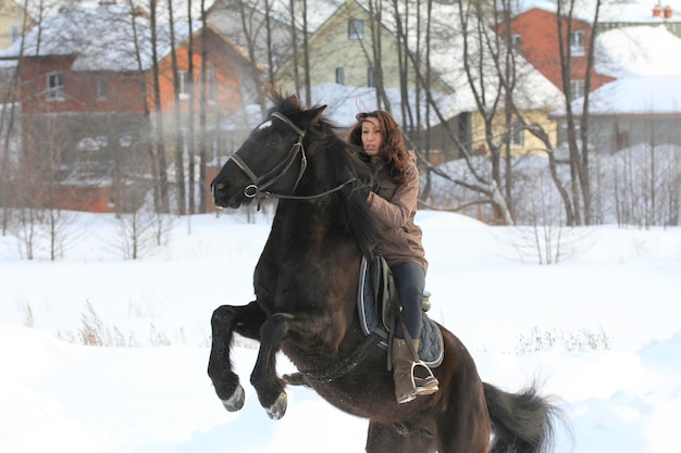 Mulher jovem cavalgando em um cavalo preto em um campo de neve, foto de teleobjetiva