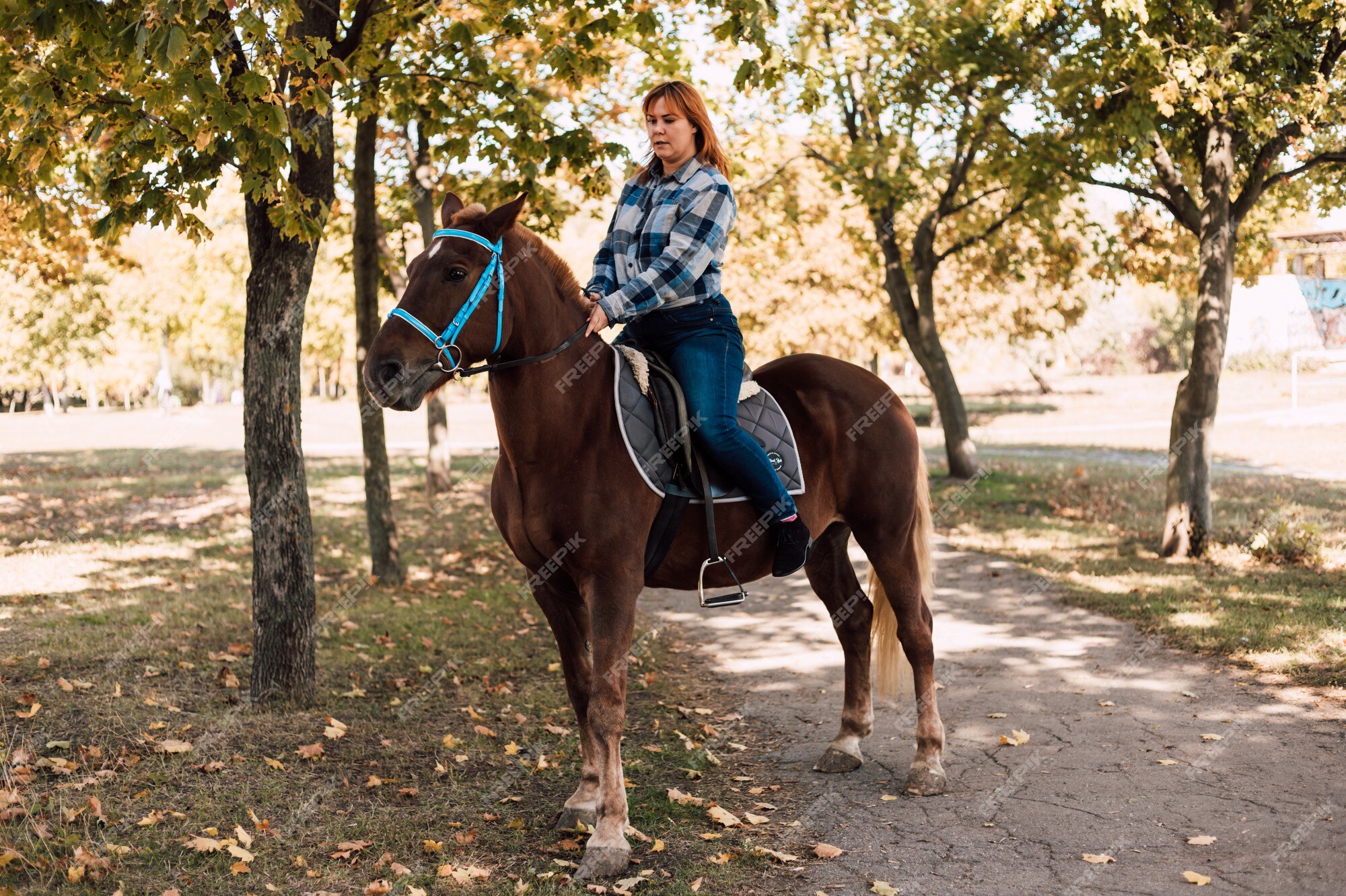 Mulher Cavaleira Cavalgando a Cavalo Marrom E Pulando a Cerca Na Arena De  Sandy Parkour Aperfeiçoamento Profissional Competitivo Imagem de Stock -  Imagem de fêmea, marrom: 165294797