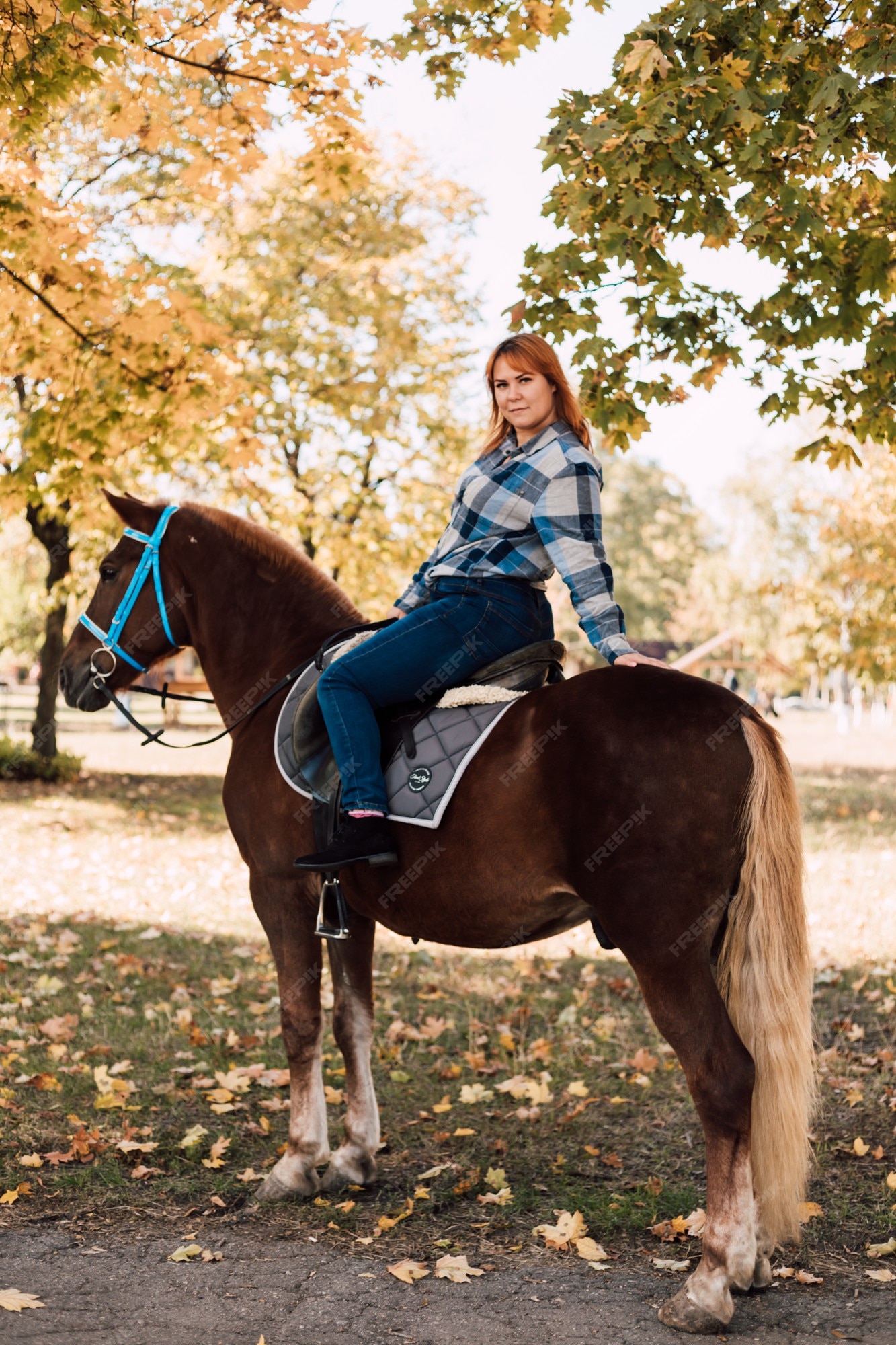 Mulher Cavaleira Cavalgando a Cavalo Marrom E Pulando a Cerca Na Arena De  Sandy Parkour Aperfeiçoamento Profissional Competitivo Imagem de Stock -  Imagem de fêmea, marrom: 165294797