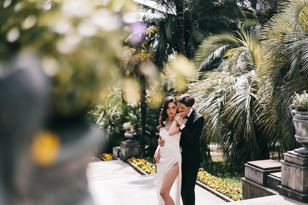 Foto mulher jovem com as mãos em plantas