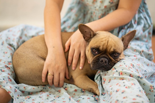 Foto mulher jovem com bulldog francês dormindo no colo