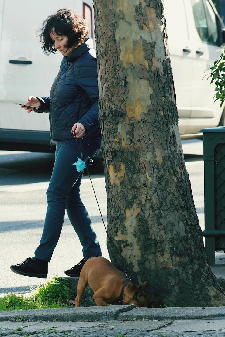 Foto mulher jovem com cão a passear ao ar livre