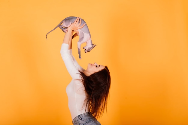 Mulher jovem com gato esfinge canadense em um estúdio, fundo cinza