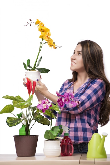 Mulher jovem, cuidando, de, lar, plantas