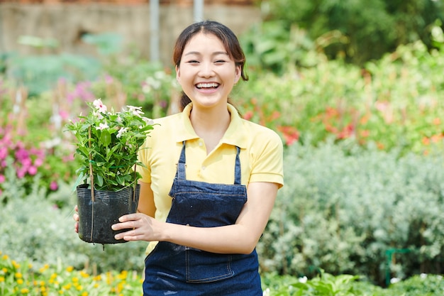 Mulher jovem e animada feliz segurando o vaso com uma planta florescendo no centro de jardinagem