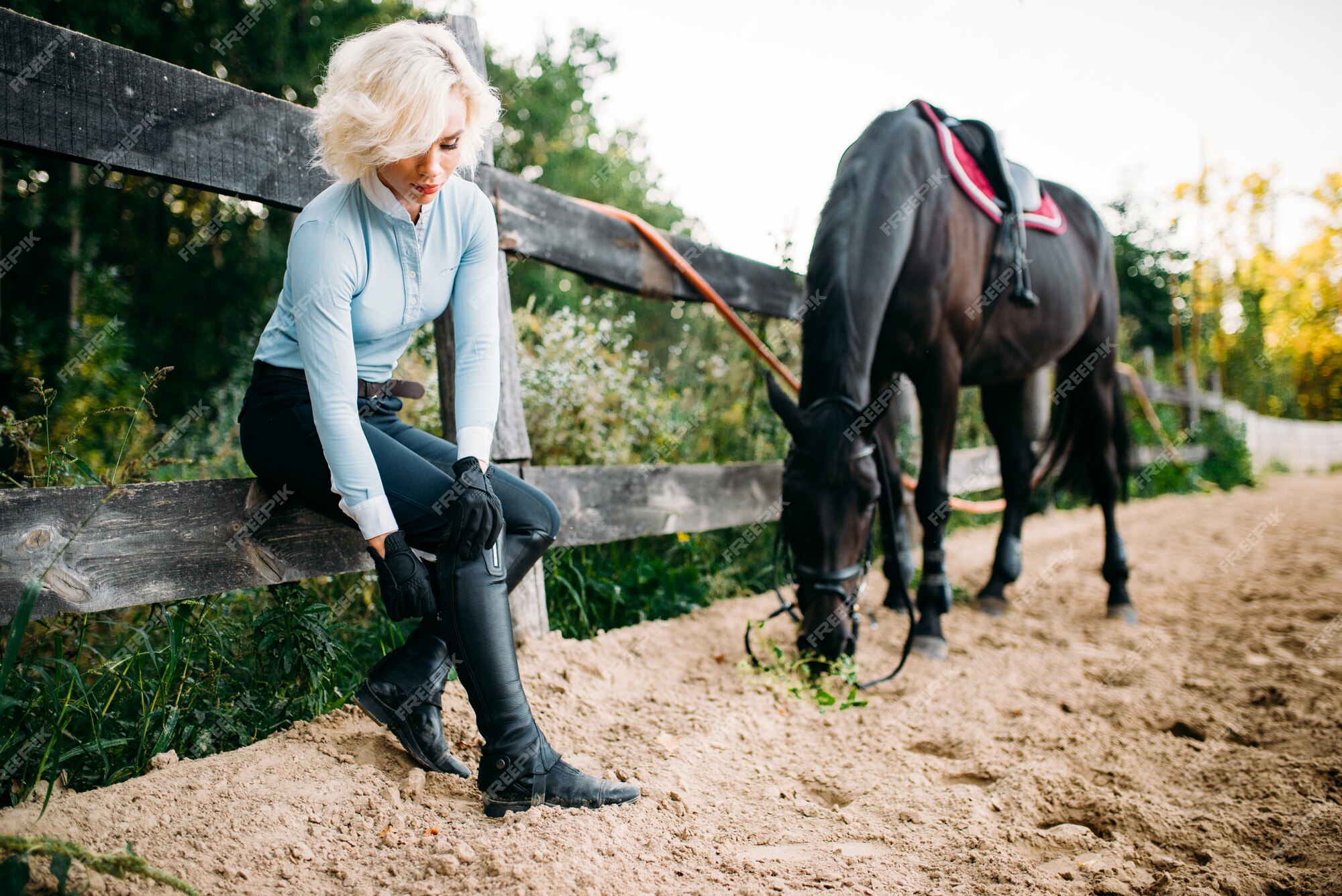 Mulher Jockey Com Seu Cavalo Marrom Selado Patenteando O Garanhão