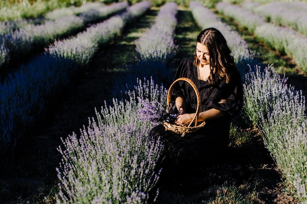 Mulher jovem e atraente em vestido preto, sentado na cadeira rodeada por campo de lavanda e segurando cesta com flores