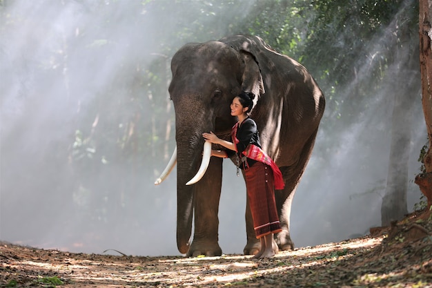 Mulher jovem e bonita asiática vestida com um vestido tradicional nativo e elefante na floresta da aldeia Su