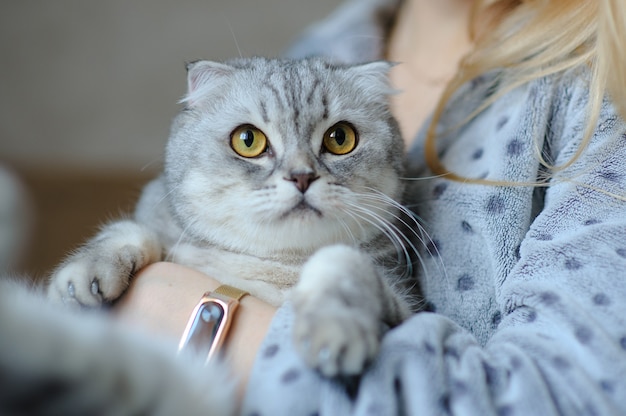 Mulher jovem e bonita com um gato fofo na cama