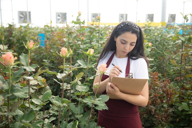 Mulher jovem e bonita cuidando de rosas em uma estufa