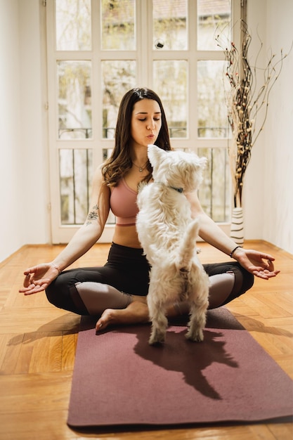 Mulher jovem e bonita e seu cachorro de estimação fofo fazendo exercícios em casa.