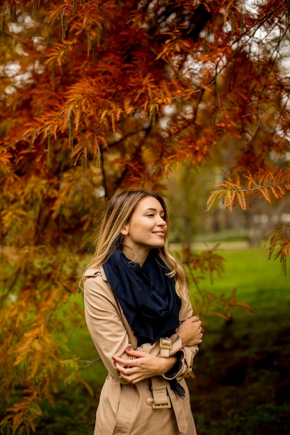 Mulher jovem e bonita no parque outono