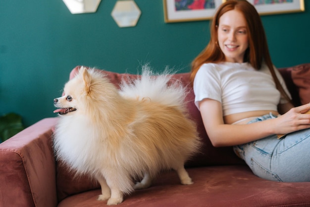 Mulher jovem e bonita ruiva lendo livro deitado no sofá aconchegante com cachorro de estimação muito diminuto Spitz no apartamento com interior moderno e leve