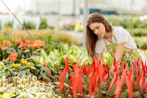 Foto mulher jovem, em, a, jardim flor