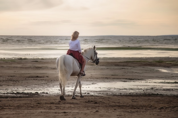 Mulher jovem feliz bonita a cavalo na praia de verão pelo mar. Fêmea de piloto dirige seu cavalo na natureza na luz de fundo do sol à noite. Conceito de passeios ao ar livre, esportes e recreação. Copie o espaço