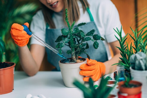 Mulher jovem fertilizando planta de cacto em casa