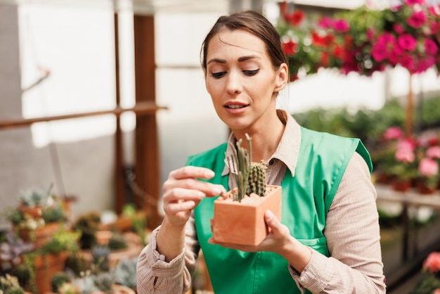 Mulher jovem florista verificando plantas suculentas e cuidando delas em uma estufa.