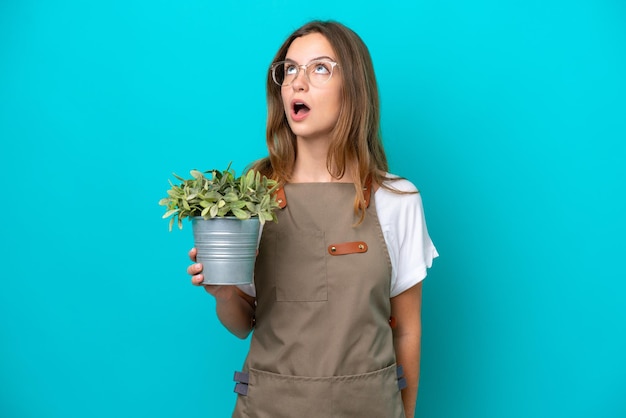 Mulher jovem jardineiro caucasiano segurando uma planta isolada em fundo azul, olhando para cima e com expressão de surpresa