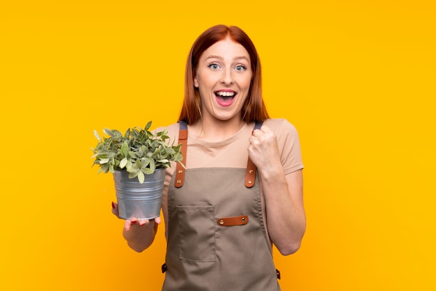 Mulher jovem jardineiro ruiva segurando uma planta isolada parede amarela comemorando uma vitória