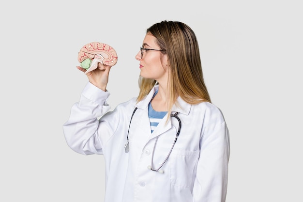Mulher jovem médico segurando um modelo de cérebro