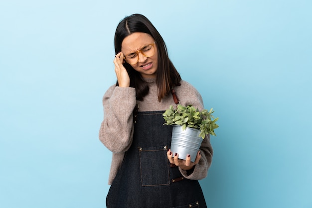 Mulher jovem morena de raça mista, segurando uma planta sobre parede azul com dor de cabeça