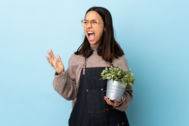 Mulher jovem morena de raça mista, segurando uma planta sobre parede azul com expressão facial surpresa