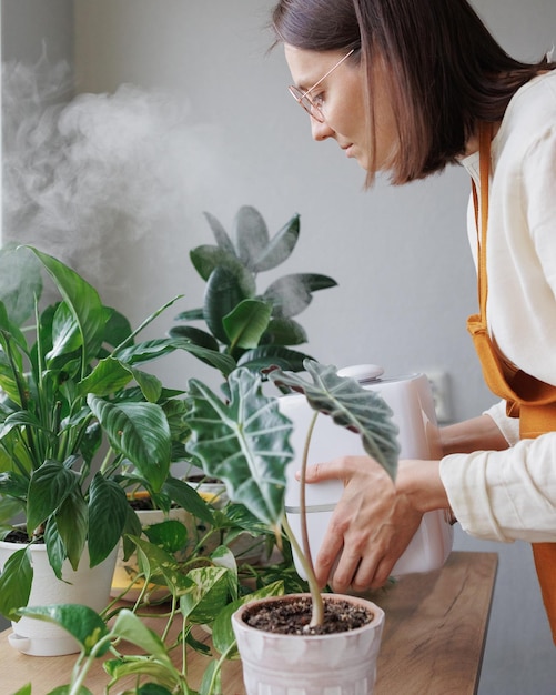 Mulher jovem segurando uma planta em vaso