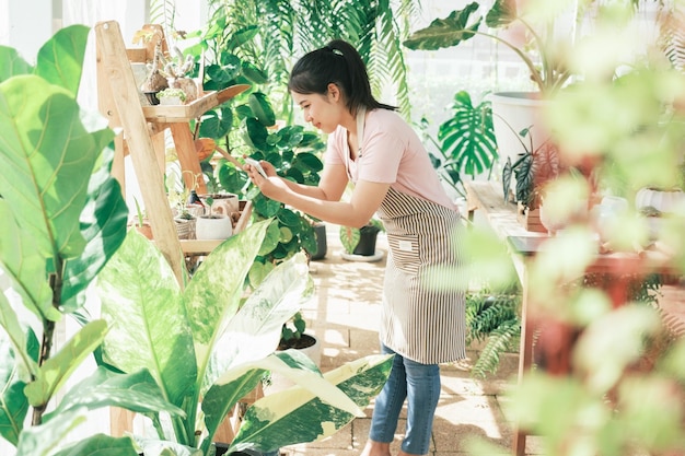 Mulher jovem sorridente tirando foto de smartphone da planta em uma pequena loja