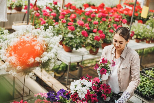 Mulher jovem sorridente trabalhando em um centro de jardinagem, segurando a caixa e organizando vasos de flores com lindas flores coloridas.