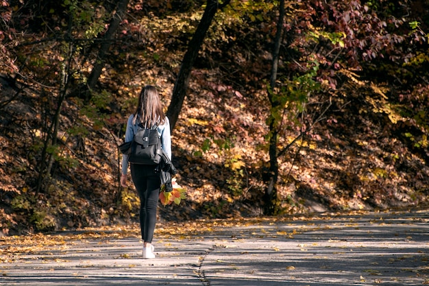 Mulher jovem triste está caminhando ao longo do beco do parque outono. Jovem solitária na floresta. Vista traseira.