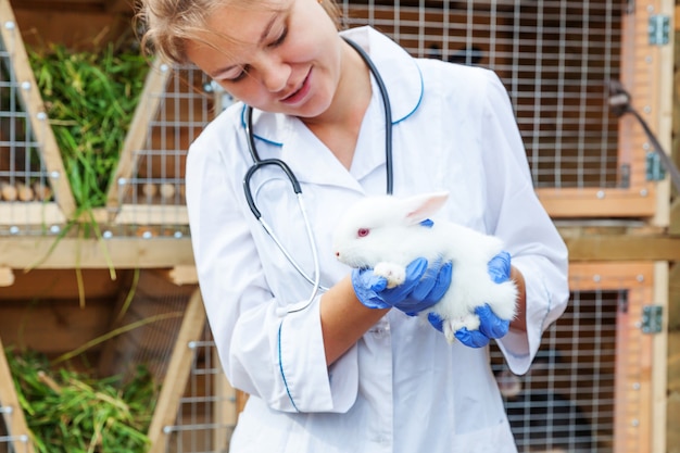 Mulher jovem veterinária feliz com estetoscópio segurando e examinando coelho no rancho