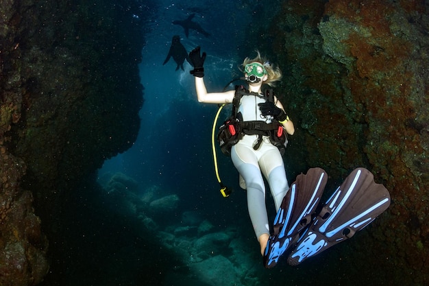 Mulher loira brincando com leão-marinho enquanto mergulha no México