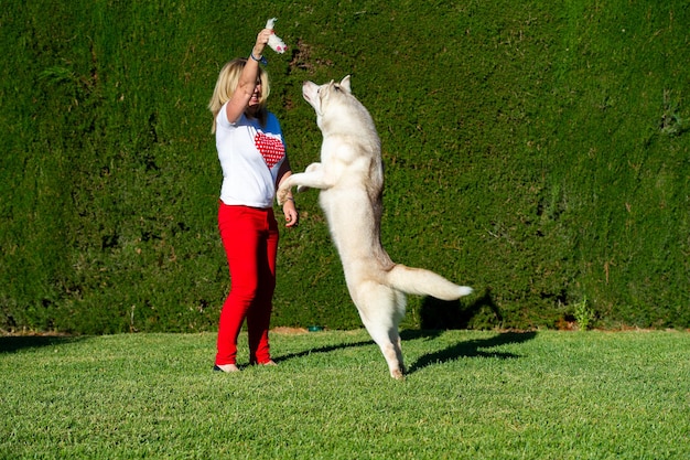 Mulher madura loira brincando com cachorro husky siberiano na grama