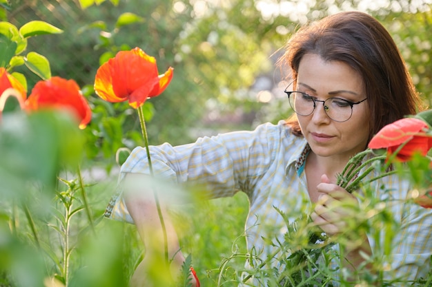 Mulher madura no buquê de corte jardim primavera de papoilas vermelhas