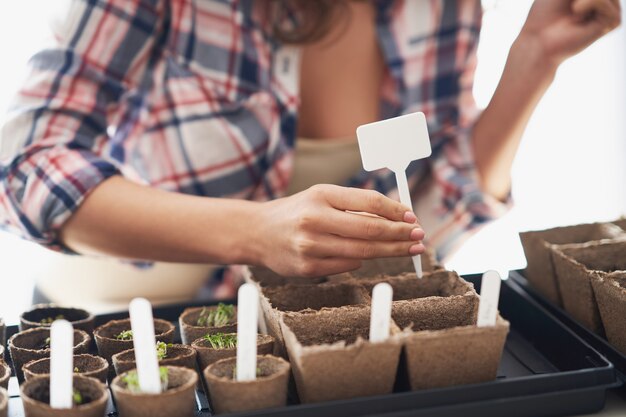 mulher madura plantando sementes em estufa