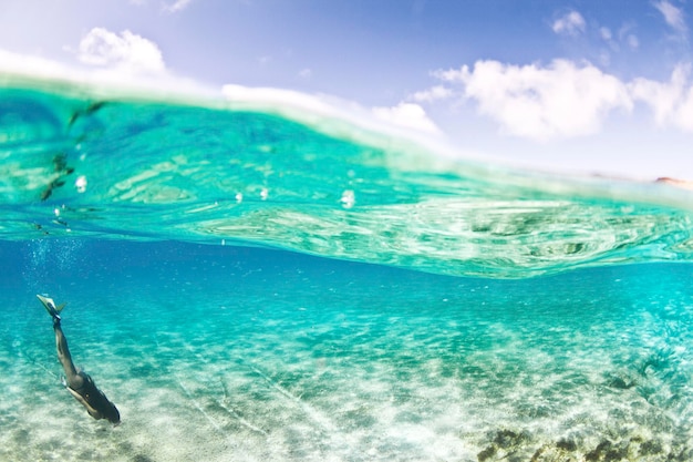 Mulher mergulhando no mar contra o céu