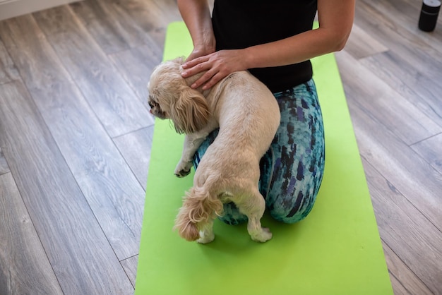 Mulher morena de meia-idade fazendo meditação de ioga em um tapete de exercício com o cão em casa saúde mental equilíbrio mental tempo para si mesma alívio do estresse mediação conceito de plenitude da mente