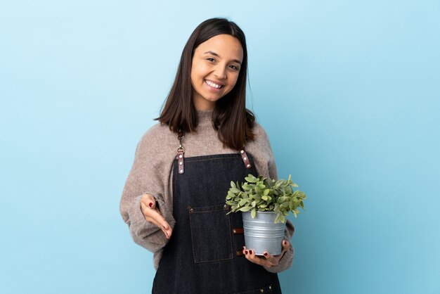 Mulher moreno nova da raça misturada que guarda uma planta sobre a parede azul que agita as mãos para fechar bastante.