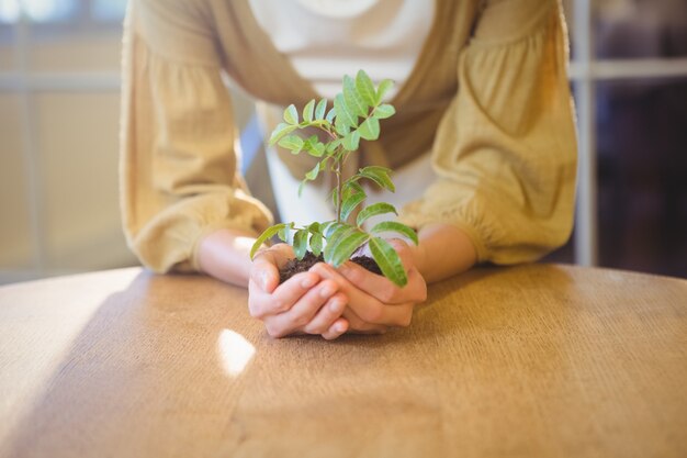 mulher mostrando uma planta