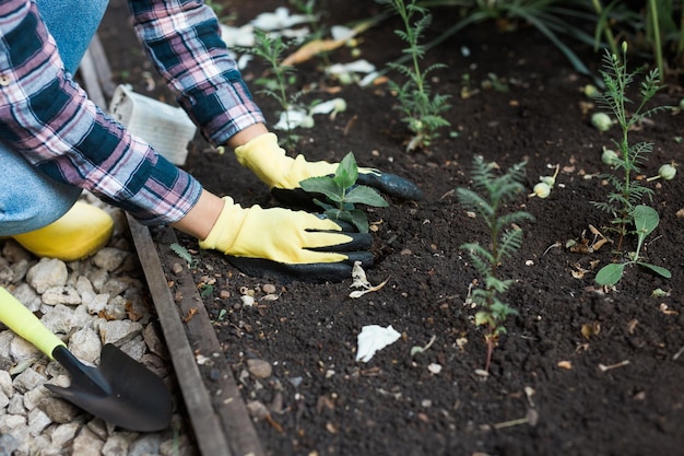 Mulher na água do jardim com regador de plantas Conceito de jardinagem e primavera e bio