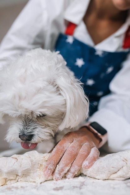 Mulher na cozinha amassa a massa com seu cachorro