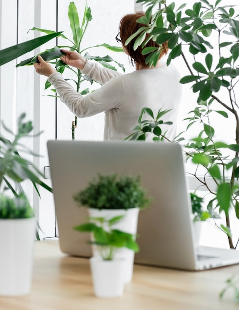 Mulher na estufa cuida das plantas perto de seu local de trabalho com o laptop.