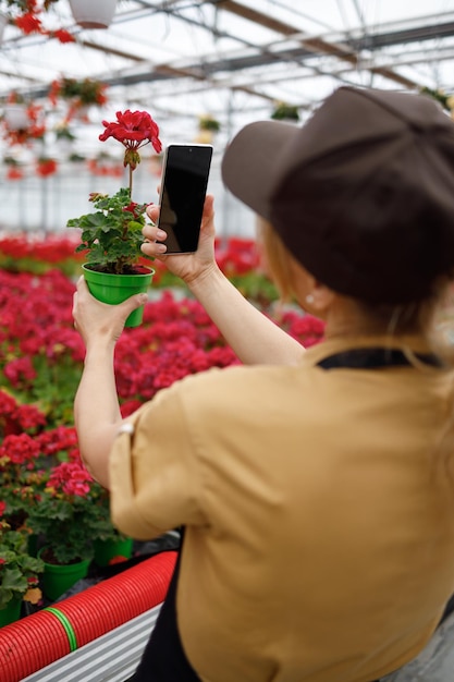 Mulher na estufa de flores tirando fotos de plantas no smartphone