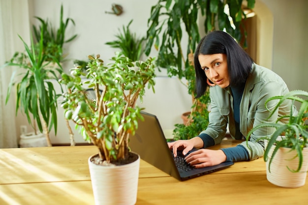 Mulher navegando informações sobre laptop de uso feminino de planta de casa