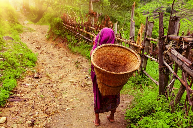 Mulher nepalesa com cesta de vime